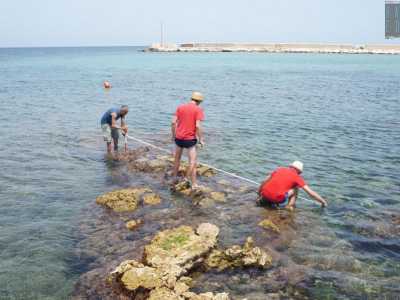 Vengono poi prese le misure di quello che sembra un comune scoglio che fuoriesce dall�acqua, ma che in realt� � ci� che rimane del braccio di un molo antico